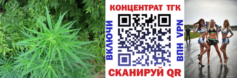 сколько стоит Куса кракен как войти Дистиллят ТГК жижа