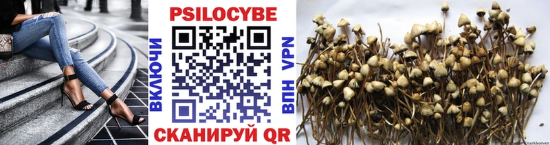 Псилоцибиновые грибы Magic Shrooms  как найти наркотики  Куса 