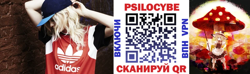 Галлюциногенные грибы Psilocybine cubensis Куса